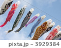 こいのぼり