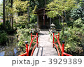 真姿の池　赤い弁天橋