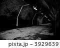 3929639