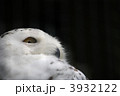 3932122
