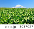 初冬の風景