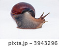 3943296