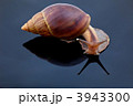 3943300