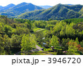 愛別町　山の新緑