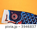 鯉のぼり