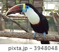 3948048