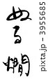 3955685