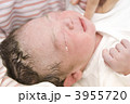 新生児