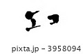 3958094