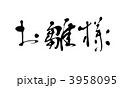 3958095