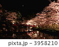 夜の弘前公園と夜桜