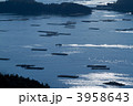瀬戸内海虫明湾の海