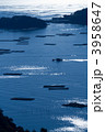 瀬戸内海虫明湾の海