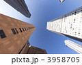 新宿の高層ビル街