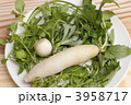 春の七草