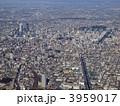 3959017