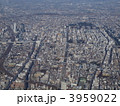3959022