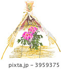 冬牡丹