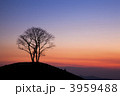 丘のトワイライト