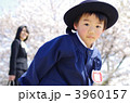3960157