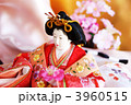 あでやかな女雛・手に紅梅横位置