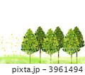 杉花粉