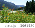 京都大原里山