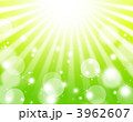 春の光