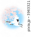 鶴と桜の花