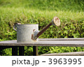 3963995