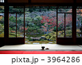 光雲寺の和室、抹茶と和菓子のある風景