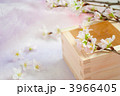 お花見イメージ