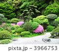 鎌倉 報国寺 日本庭園 鎌倉 報国寺 日本庭園