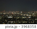 市川から見た摩天楼、東京スカイツリーと東京タワー