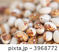 虎豆マクロ