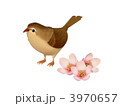 梅とうぐいす