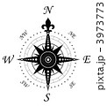 3973773