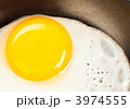 3974555