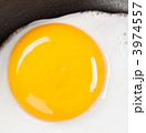 3974557