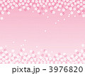 桜模様