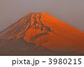 紅富士