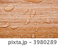 3980289