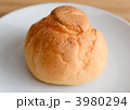 3980294