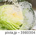 3980304