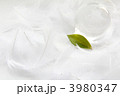 羽根とガラスの地球儀