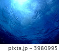 グアムの青い海