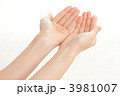 3981007