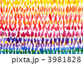 dots,gradetion12118pix