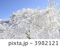 霧氷