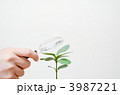 3987221